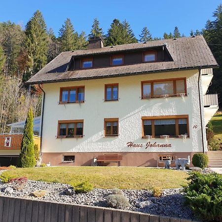 Haus Johanna Todtmoos Zewnętrze zdjęcie